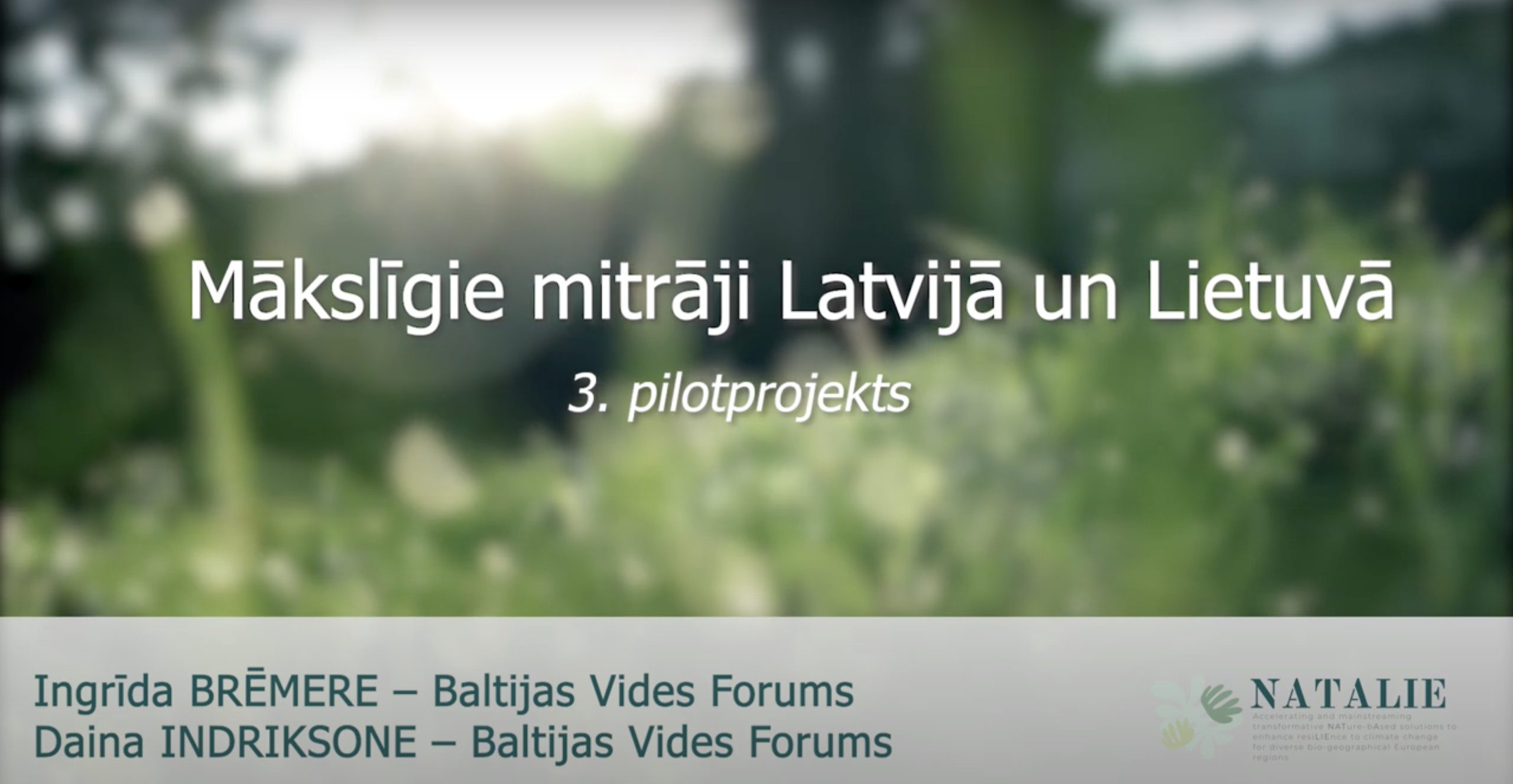 Izpētīt CS#3