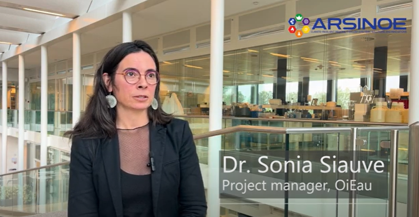 Interview with S. Siauve, NATALIE coordinator - Collaboration between ARSINOE and NATALIE 
