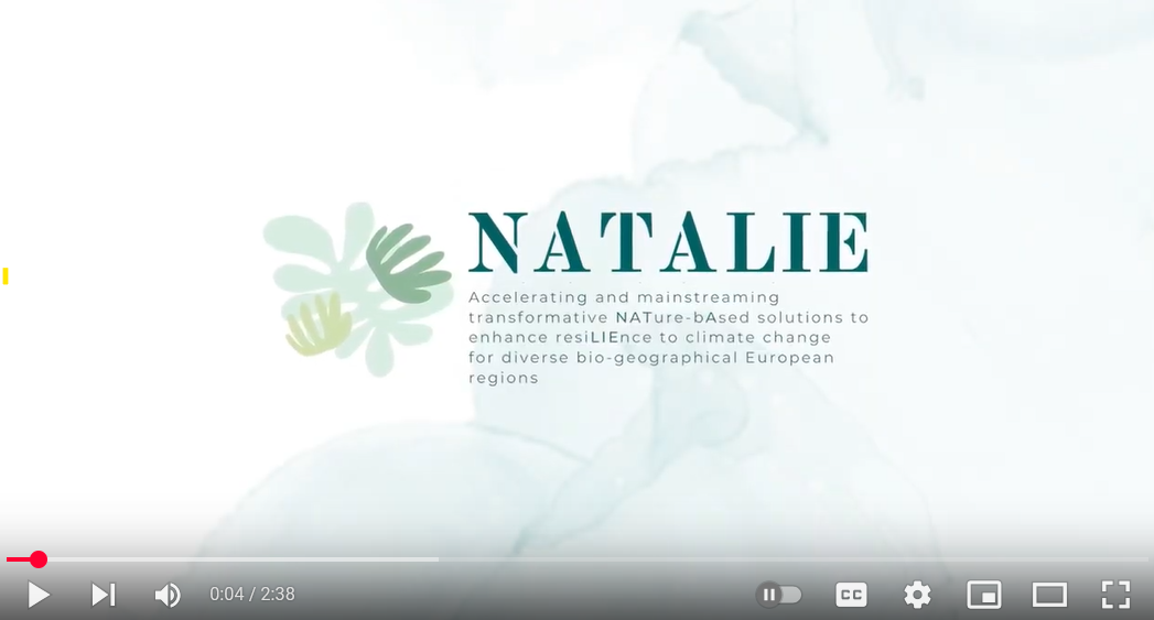 NATALIE oficiālais video - LT