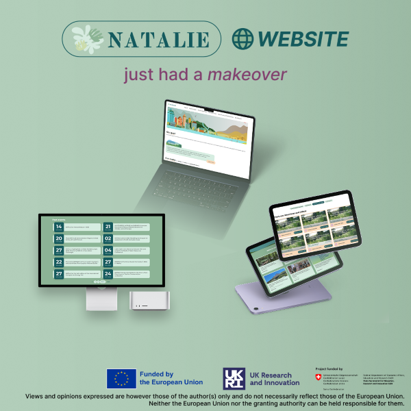 Annonce website