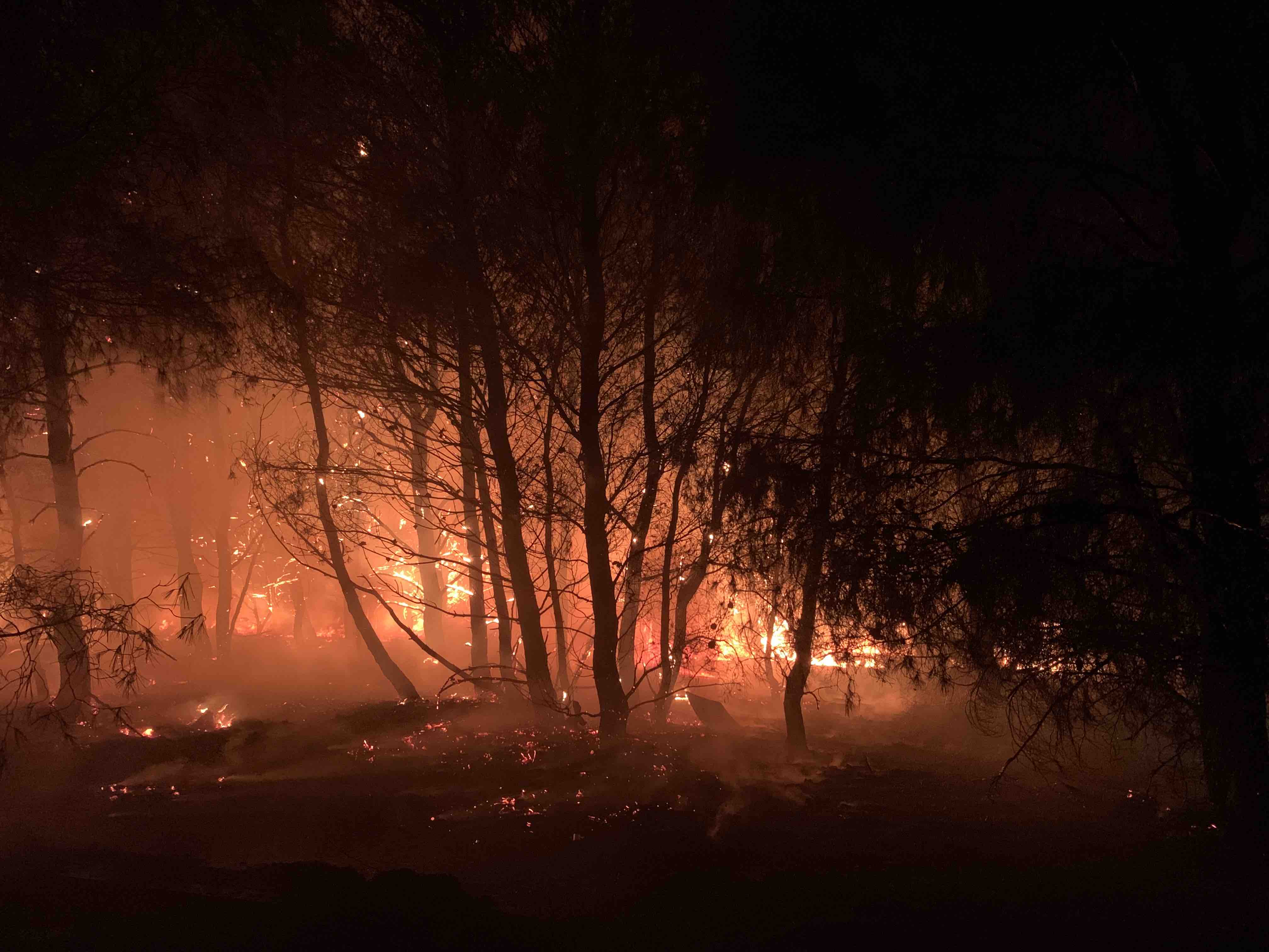 Prescribed burning