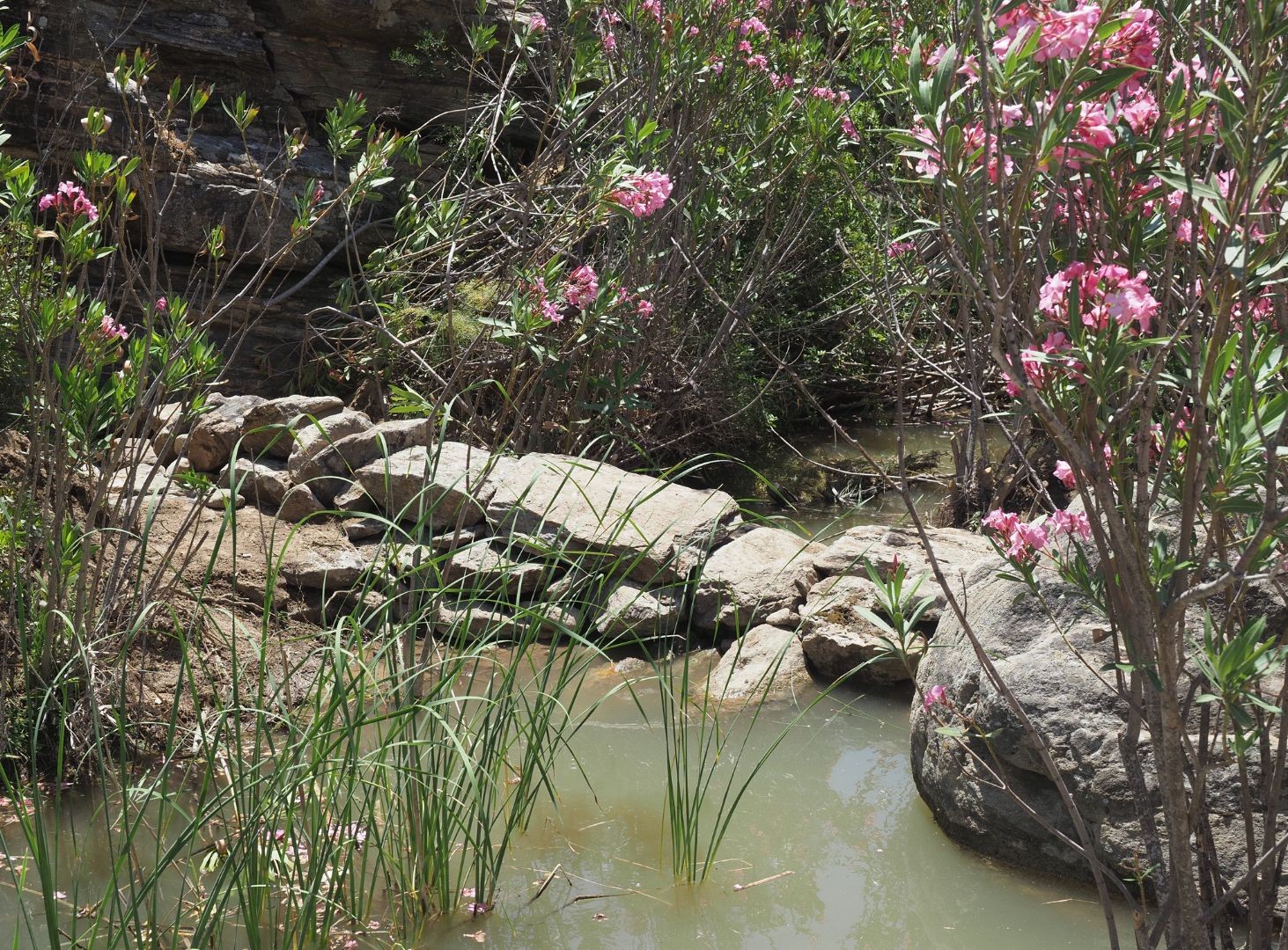 traditional check dams