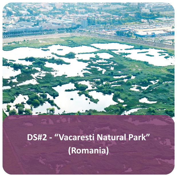 Choice DS2