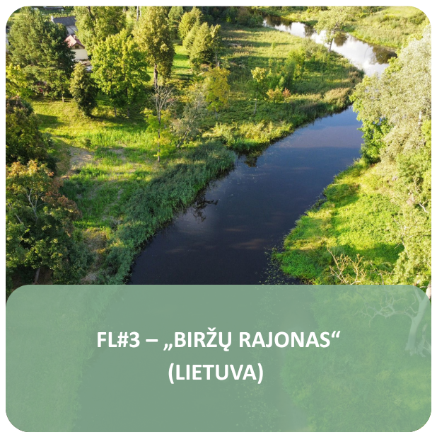 Choice FL2