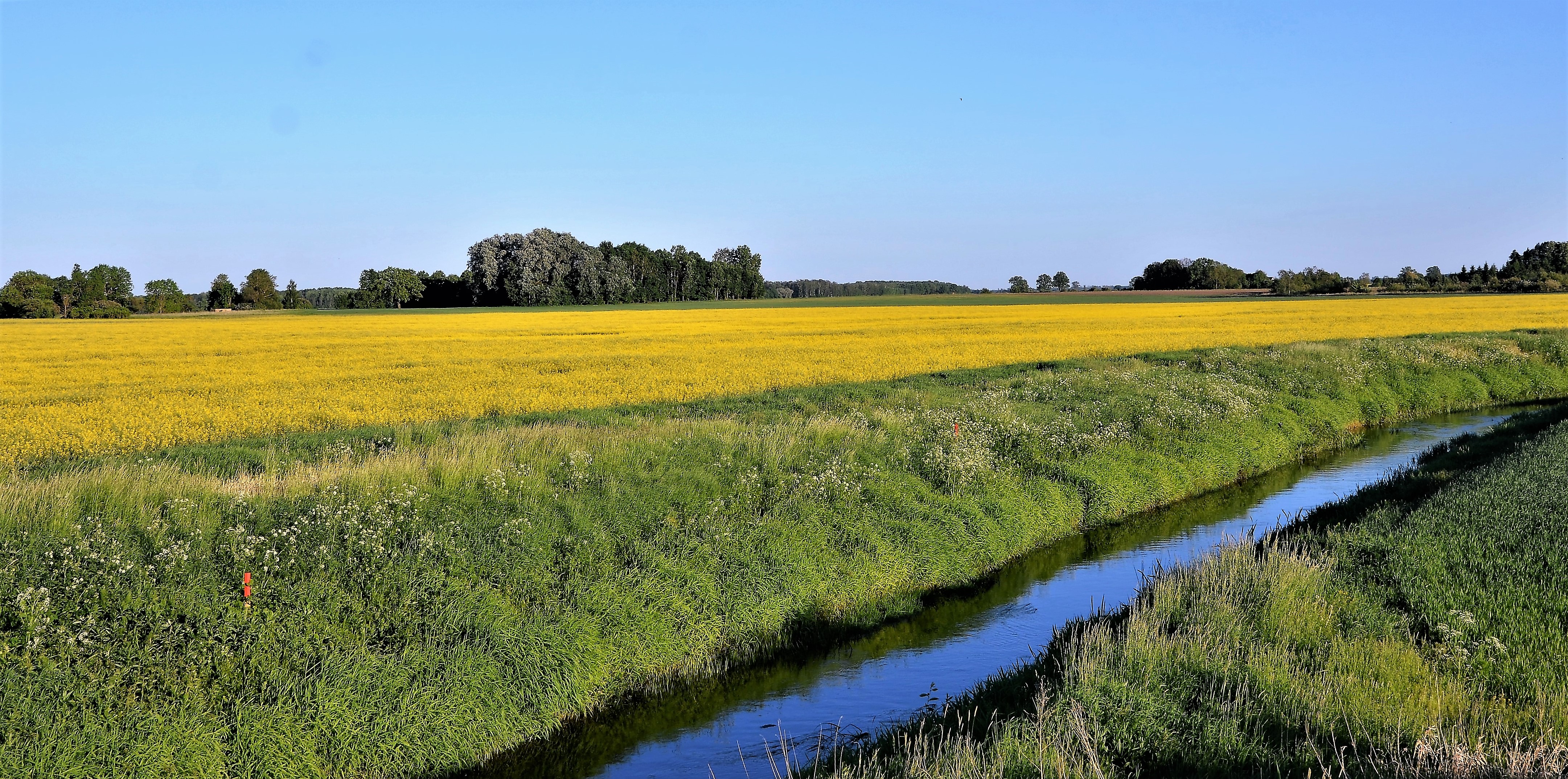 Agricultural