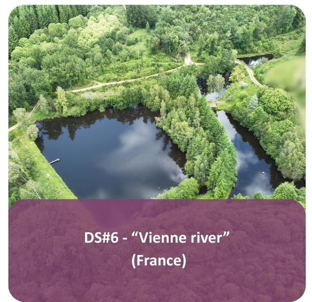 Choice DS6