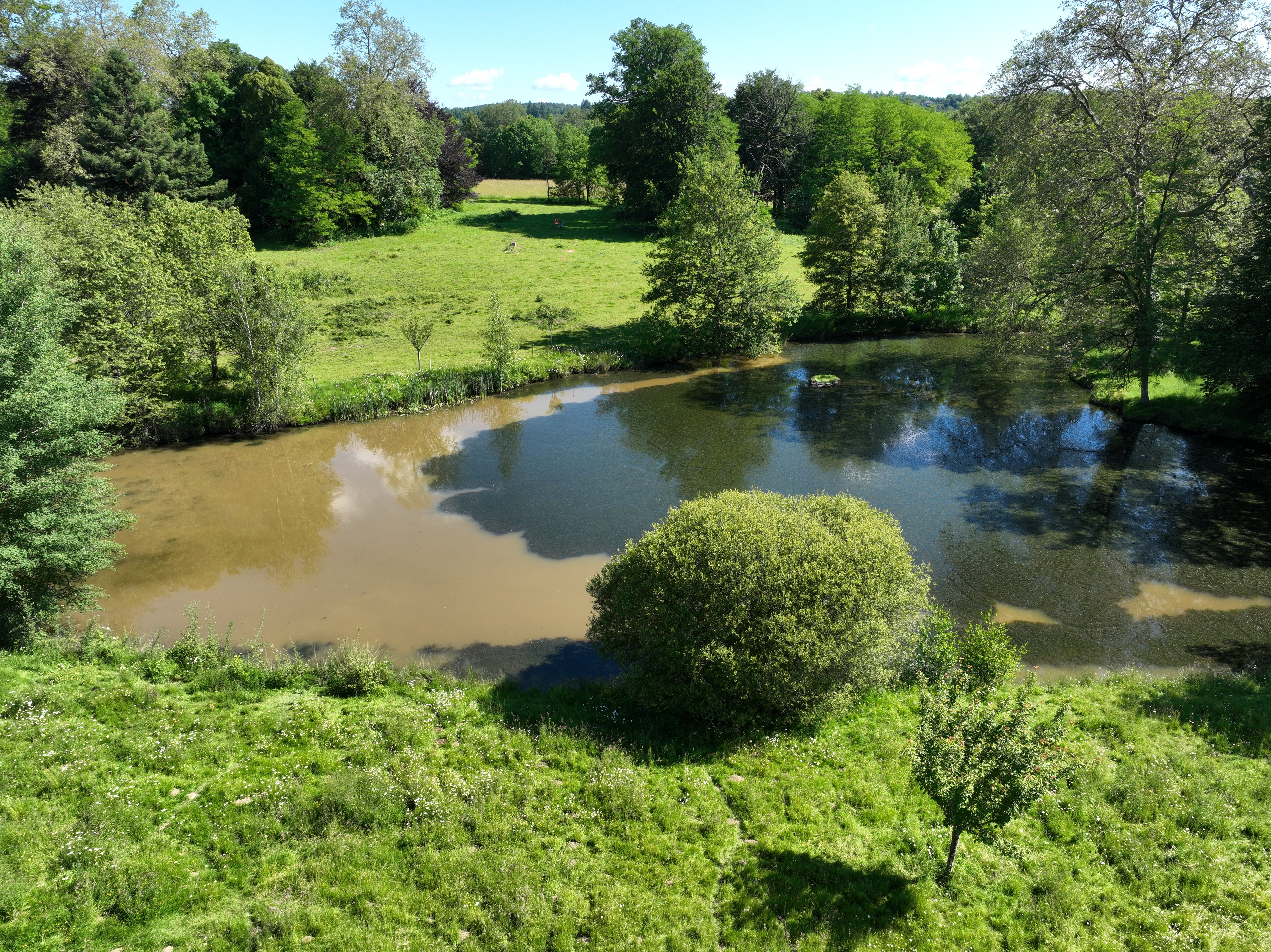 Drain neutralisation