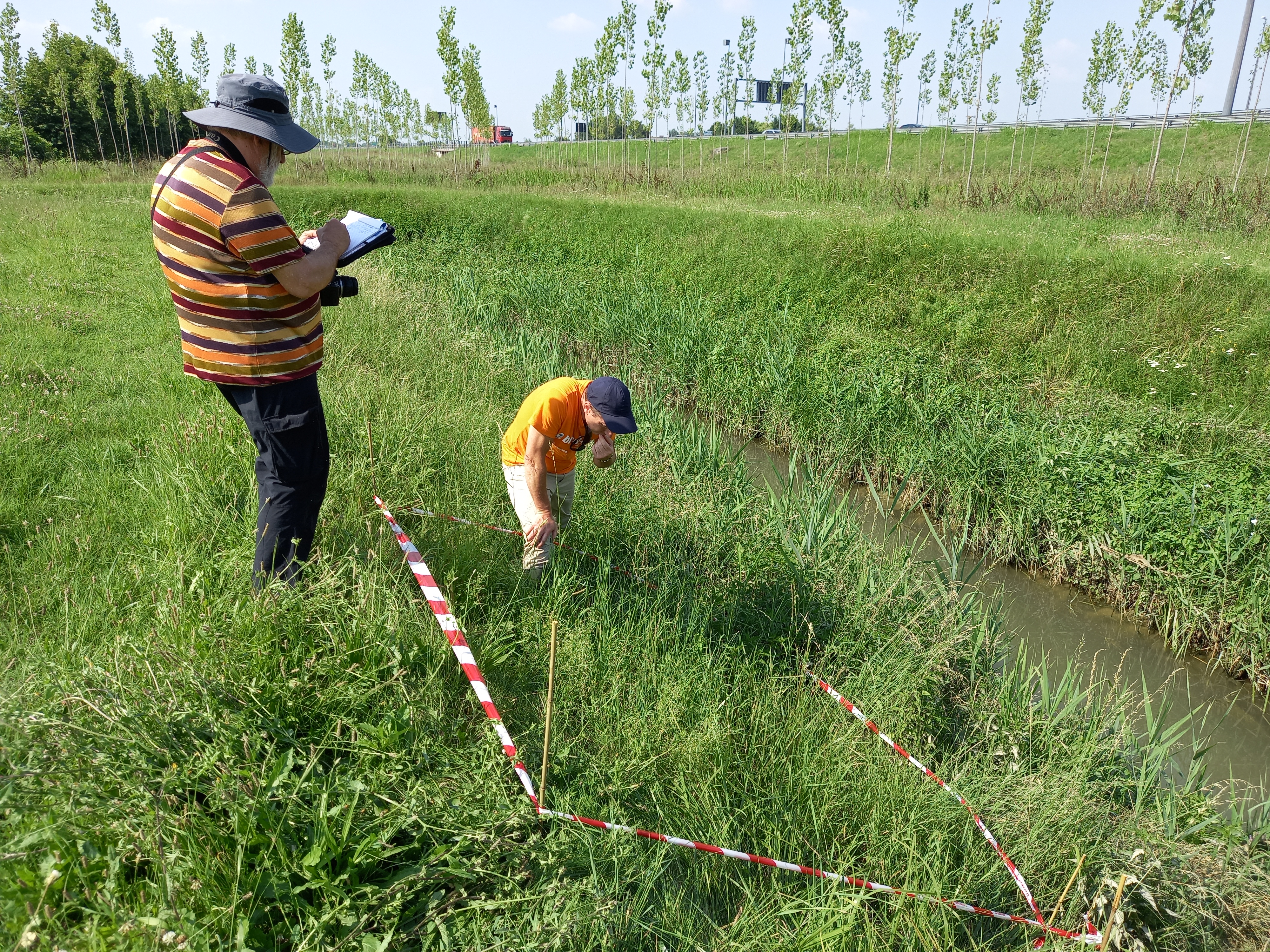 CS#8 Riverbank extension and vegetation-based restoration