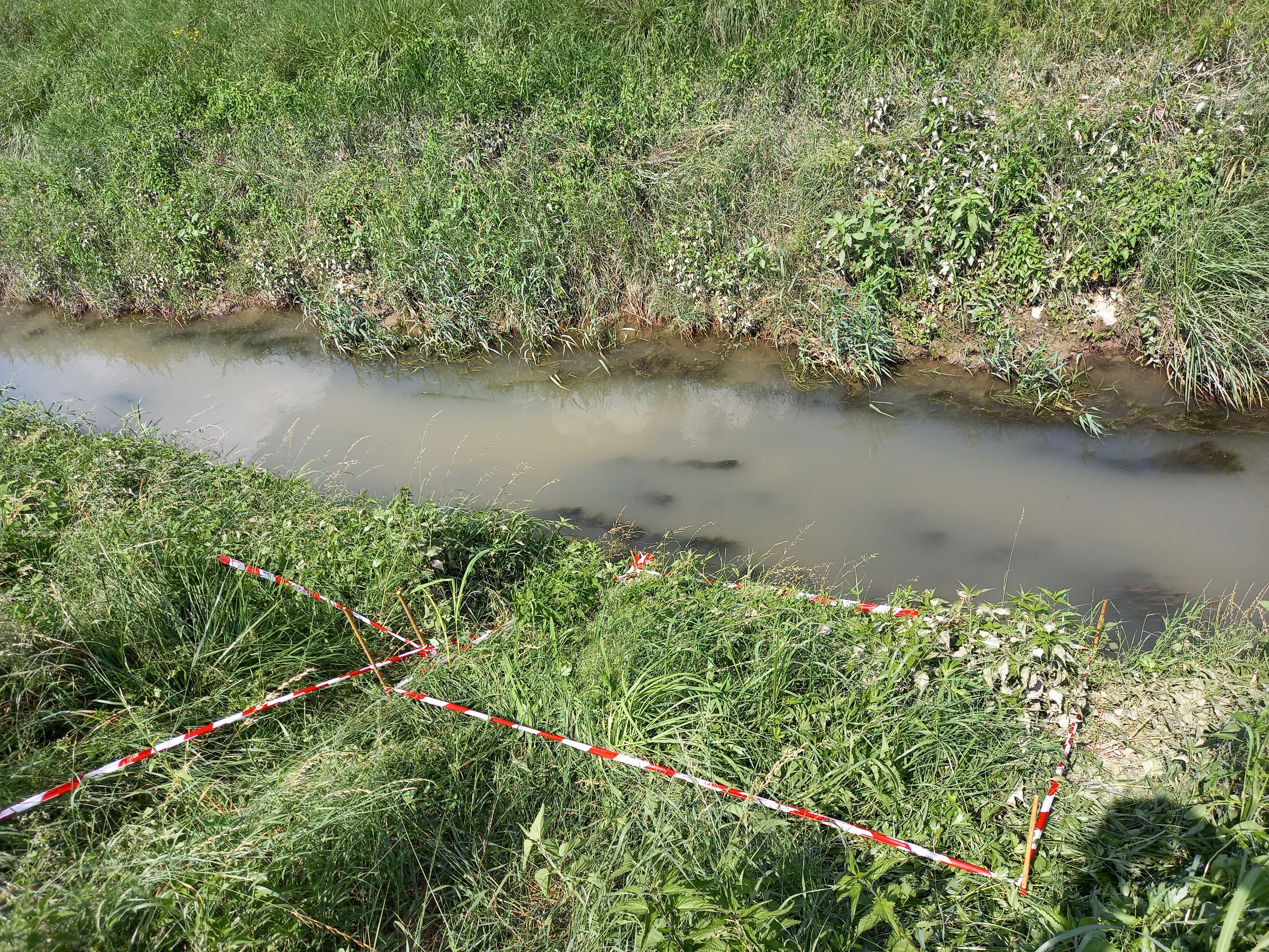 CS#8 Selective maintenance of riparian vegetation