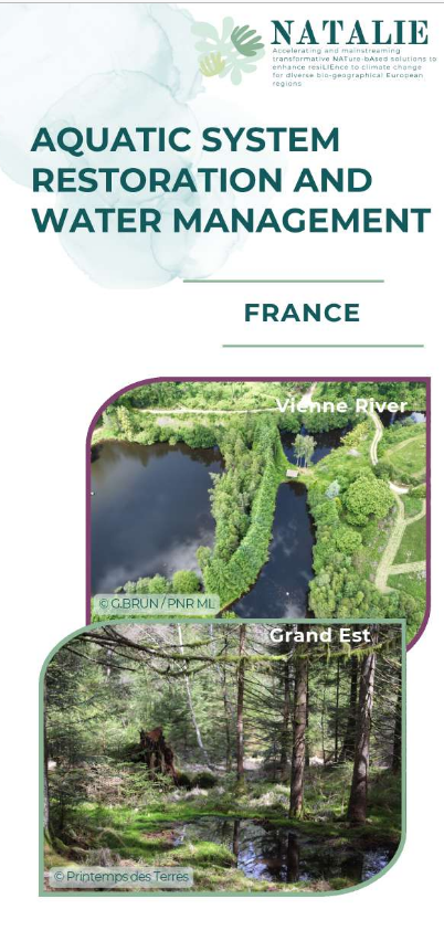 CS6-leaflet