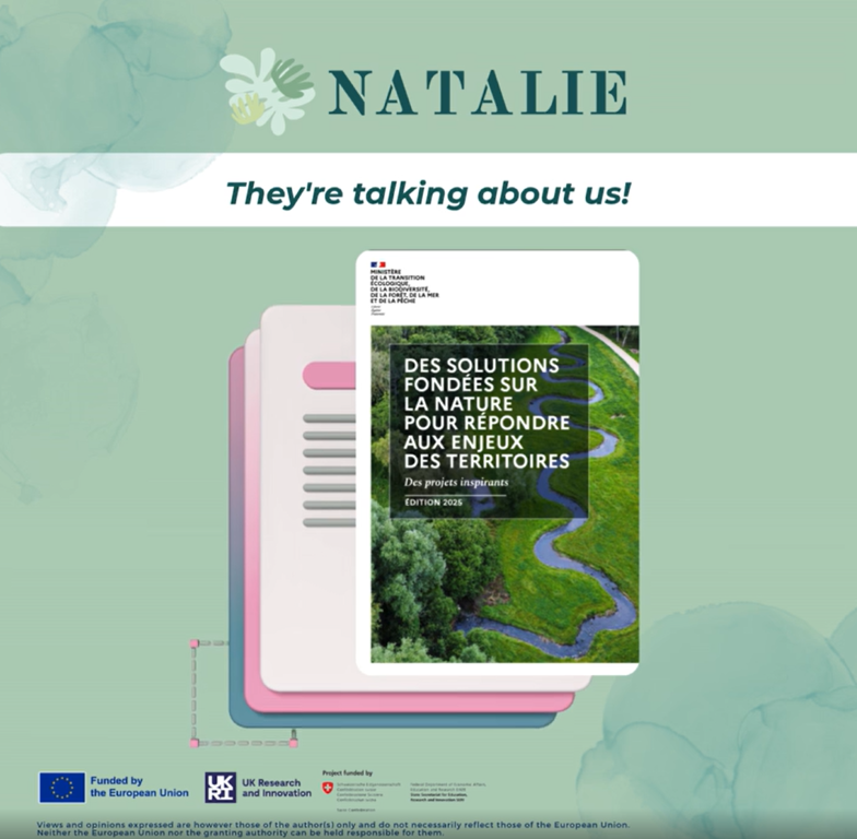 NATALIE winthin MTE catalogue on NBS