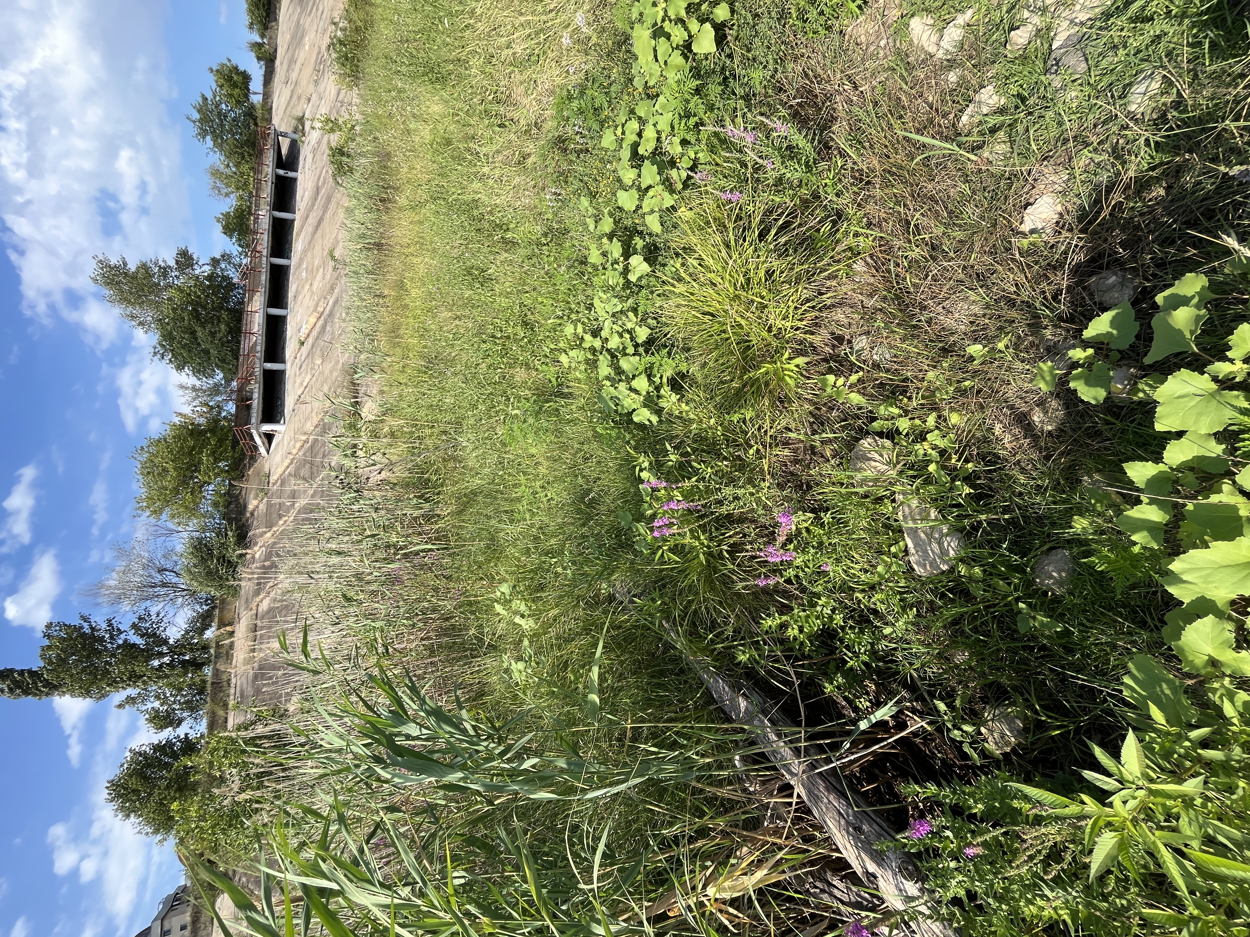 Image2FL2