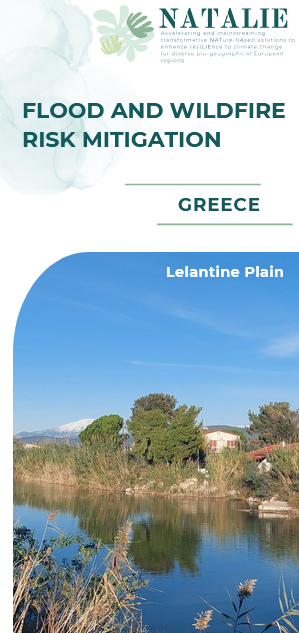 CS1-leaflet