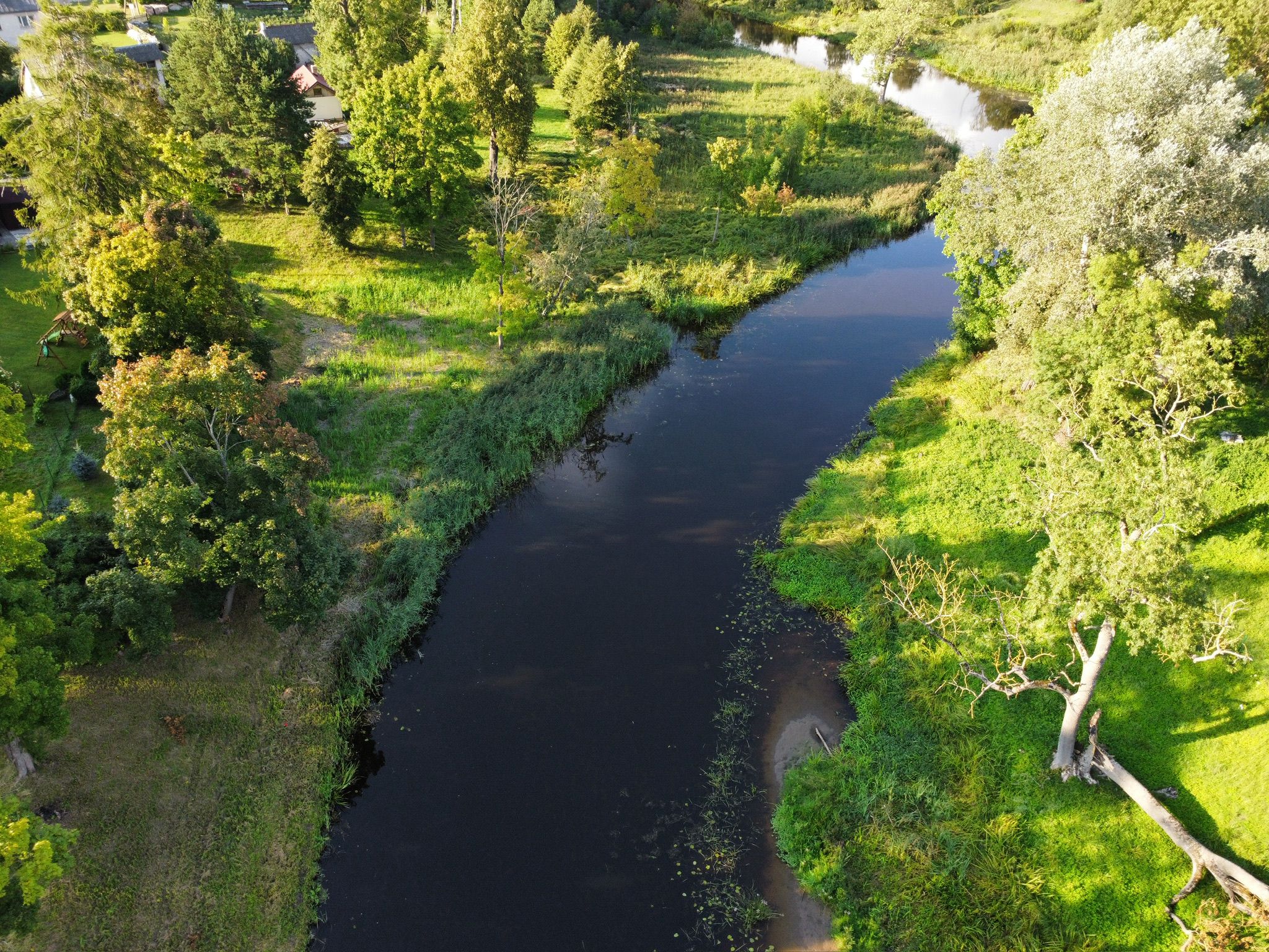 Image5CS3