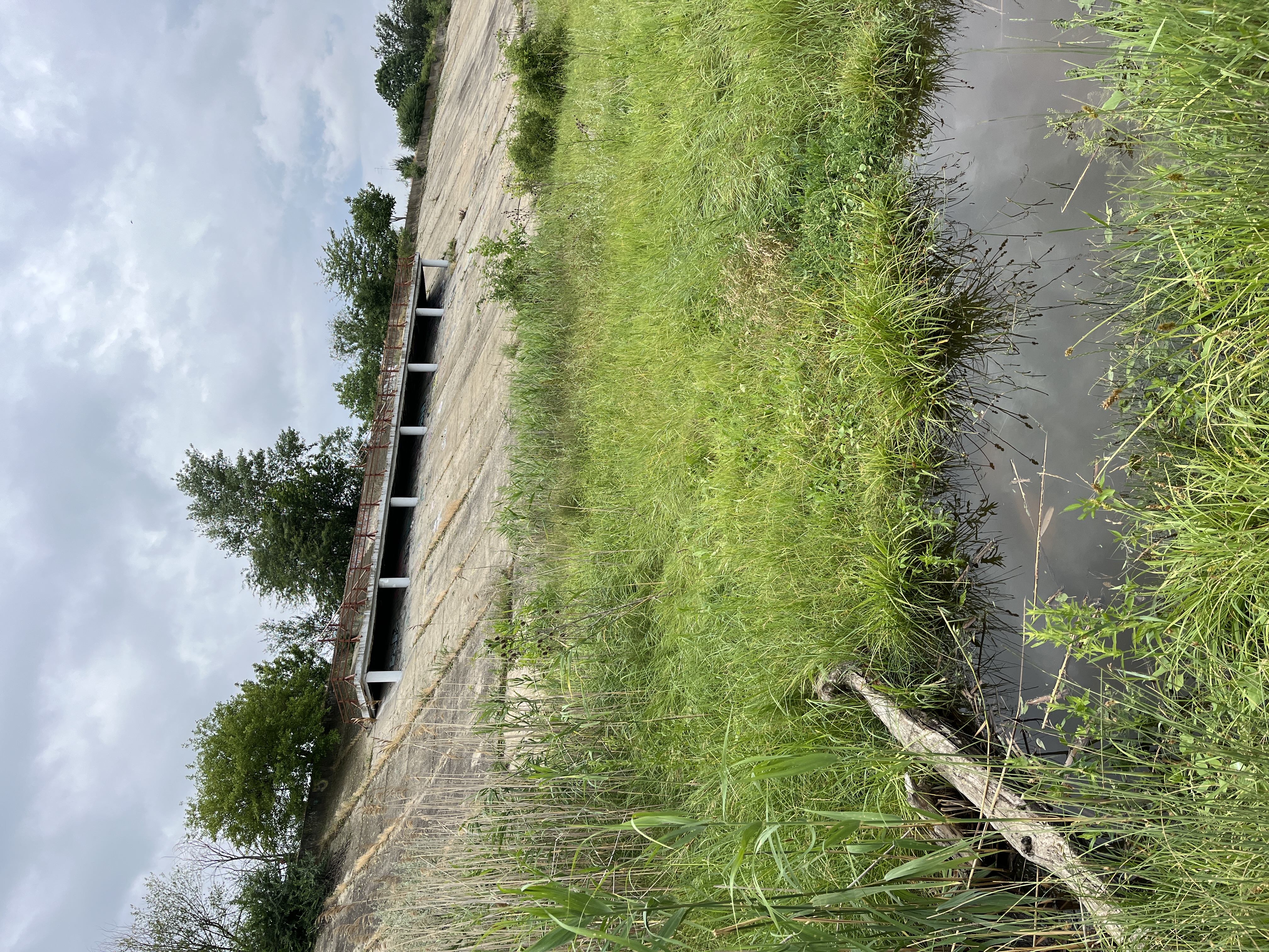 Image7CS2