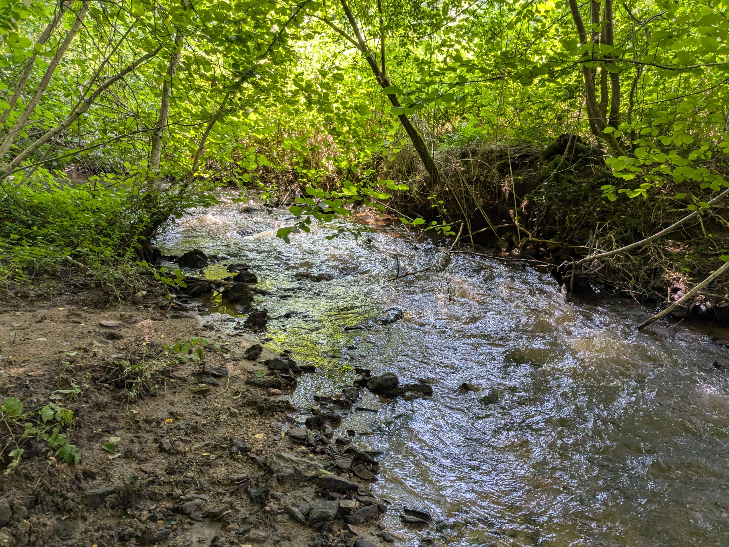CS6Image4