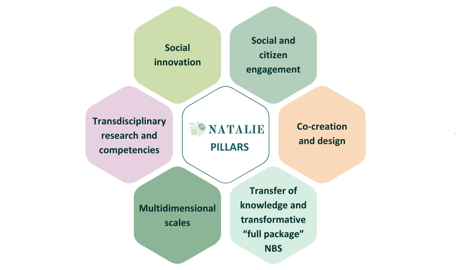NatalieProject approach infography